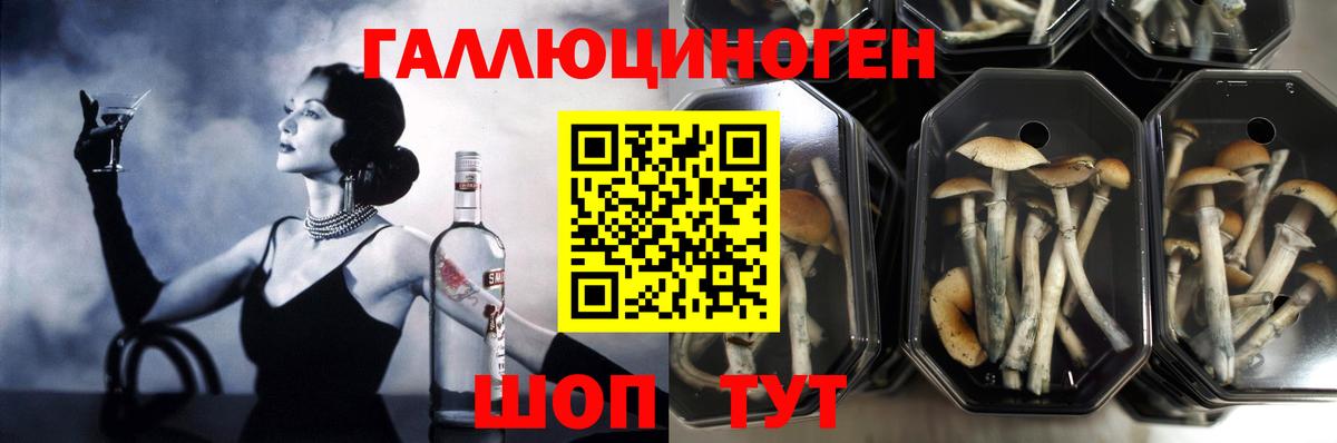 Галлюциногенные грибы прущие грибы Красный Сулин