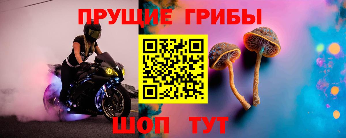 Красный Сулин  Галлюциногенные грибы мицелий  Вход с VPN 